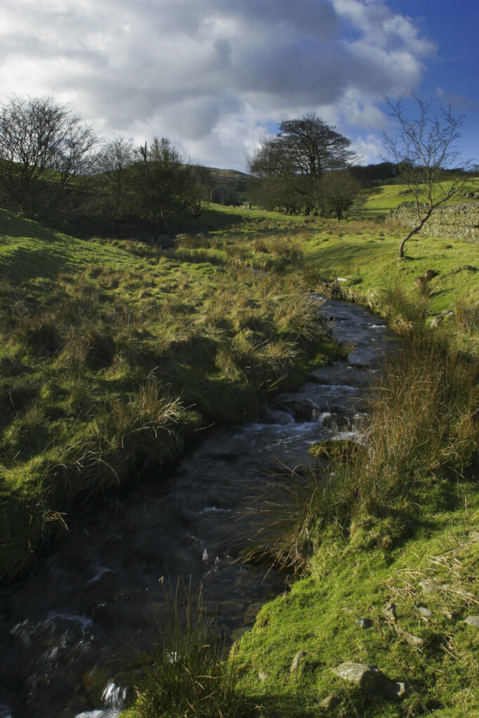 England, Cumbria, Lake District National Park. A small stream flowing close to the Cumbria Way track near Kiln Bank