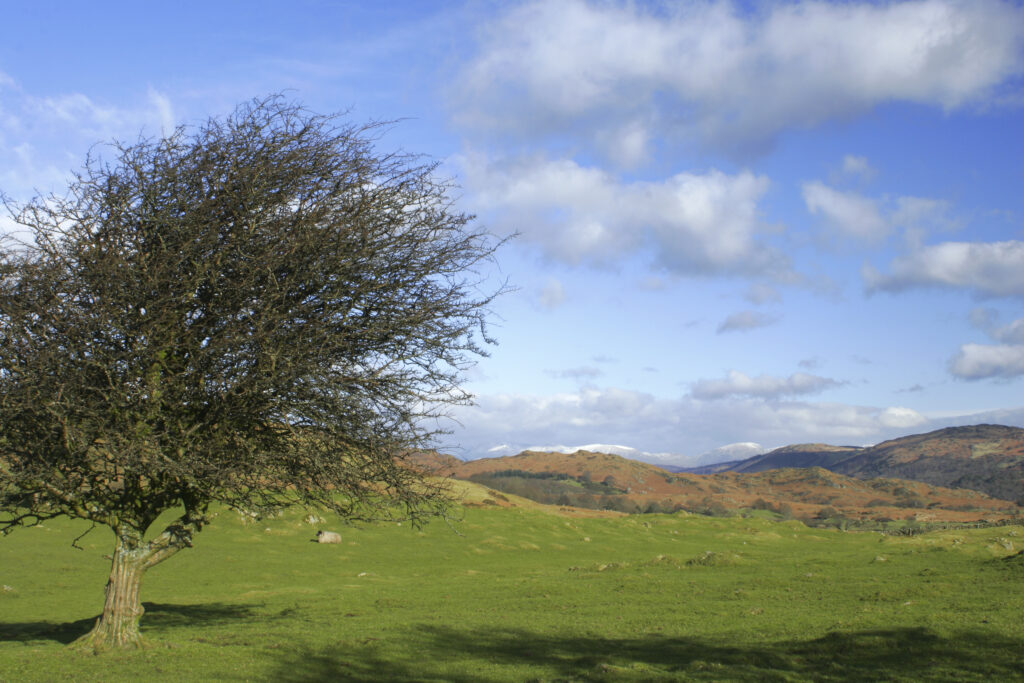 England, Cumbria, Lake District National Park. Fields and farmland near Kiln Bank on the Cumbria Way Track