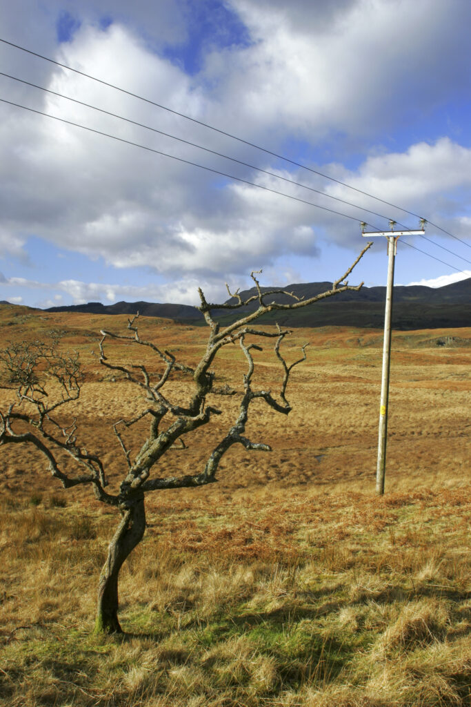 England, Cumbria, Lake District National Park. Power lines run across the remote landscape of Torver Common on the Cumbria Way