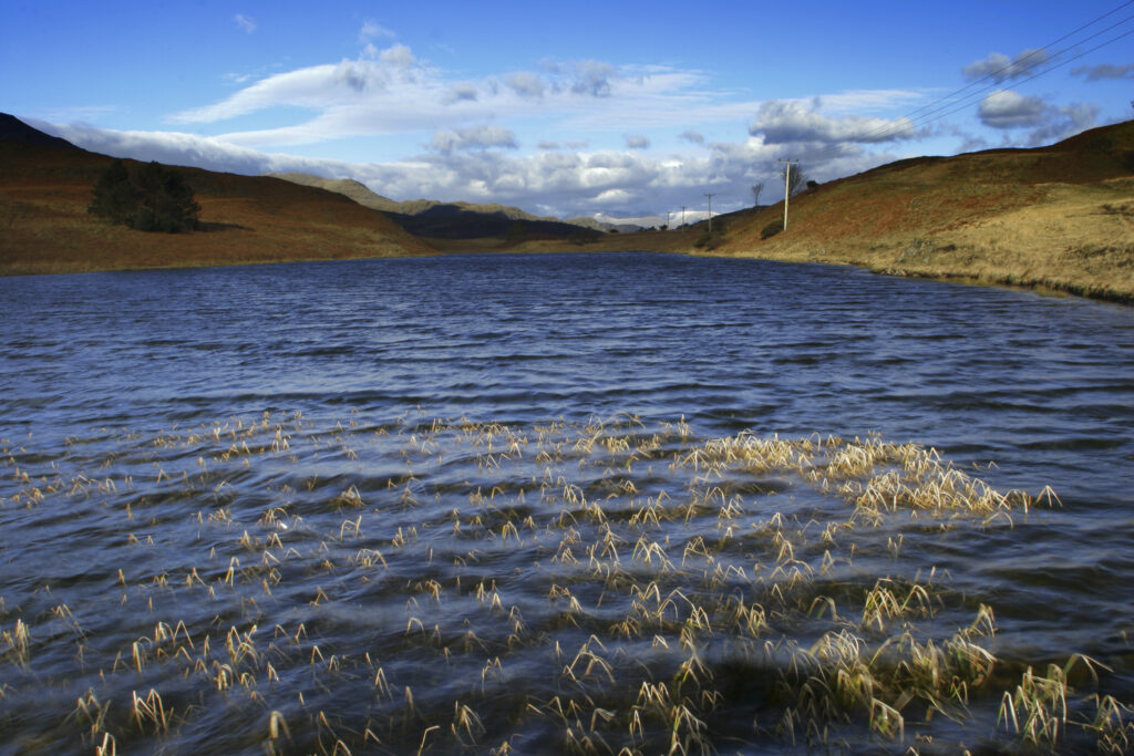 England, Cumbria, Lake District National Park. A tarn on torver low common along the cumbria way track