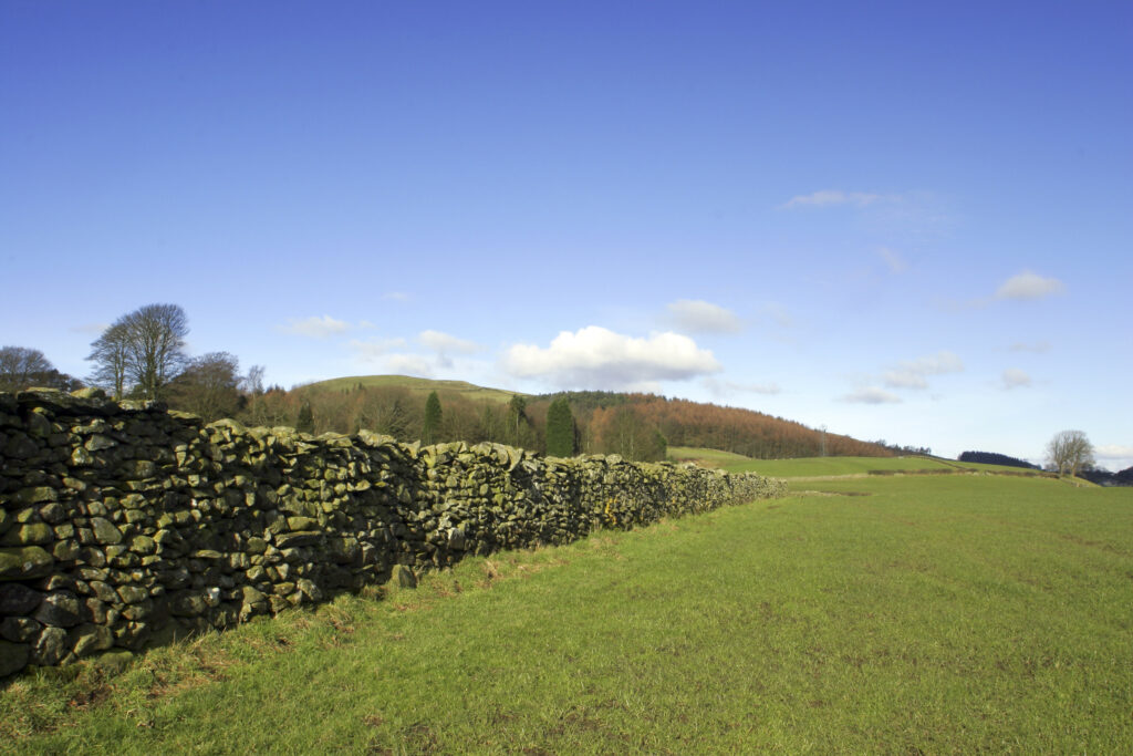 ENGLAND, Cumbria, Ulverston. Fields and dry stone wall viewed from path heading to Old Hall Farm, on the Cumbria Way