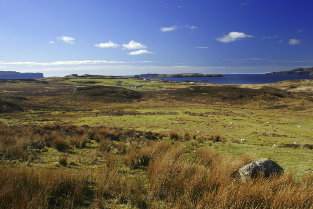 Scotland, Scottish Highlands and Islands, The Isle of Skye. Open farm and moor land near Loch Harport on the Isle of Skye