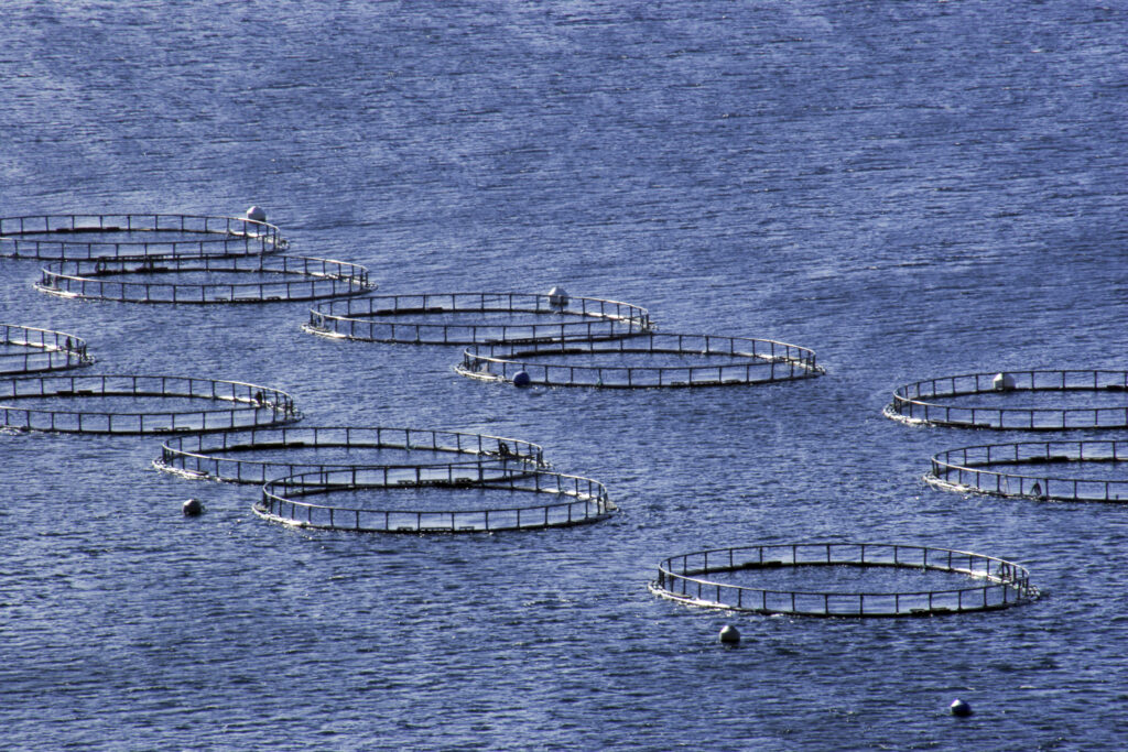 Scotland, The Isle of Skye, Uig. A Salmon and Sea Trout fish farm near Uig