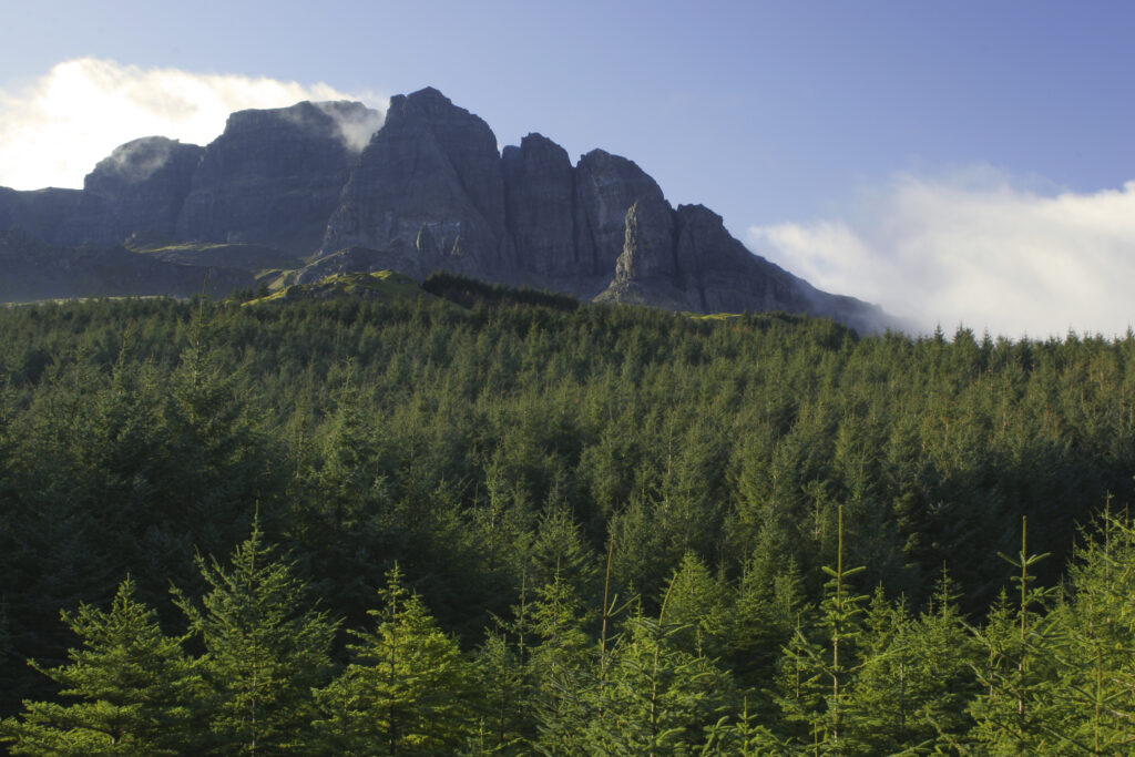 Scotland, The Isle of Skye, The Storr. The old man of Storr and the backdrop of the Storr rock formation behind forestry commission woodland