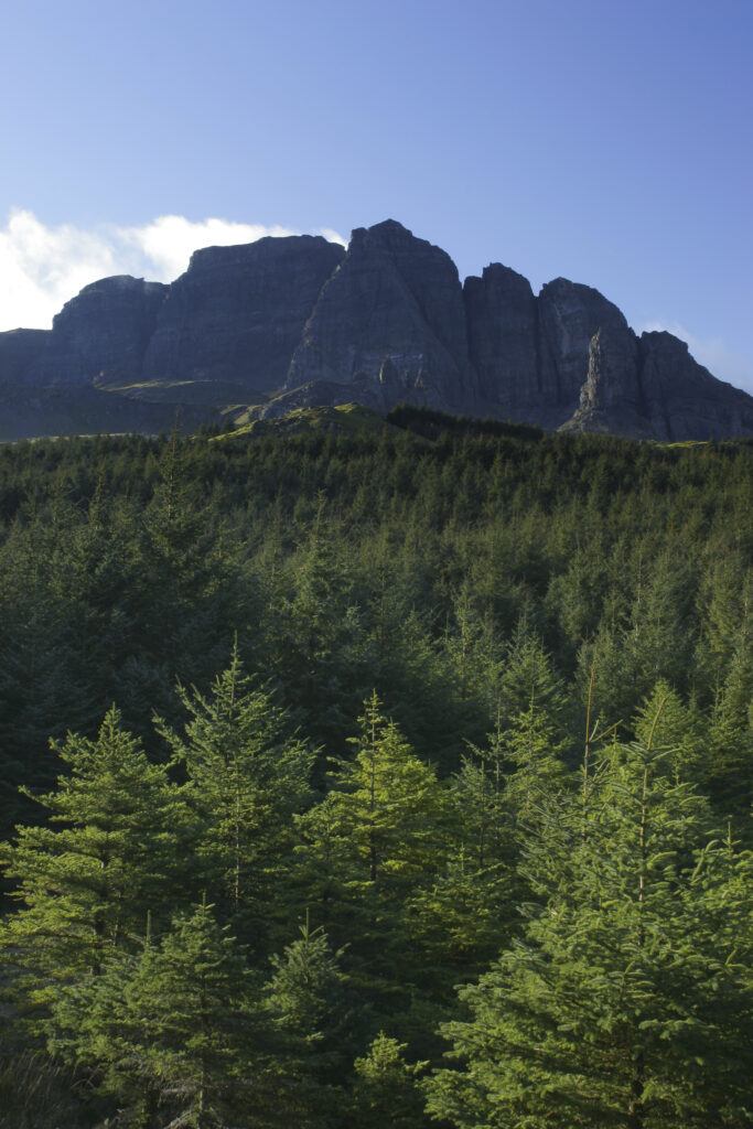 Scotland, The Isle of Skye, The Storr. The old man of Storr and the backdrop of the Storr rock formation behind forestry commission woodland