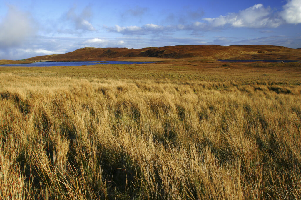Scotland The Isle of Skye Loch Leathan Soft afternoon light illuminates Loch Leathan and surrounding moorland and hills