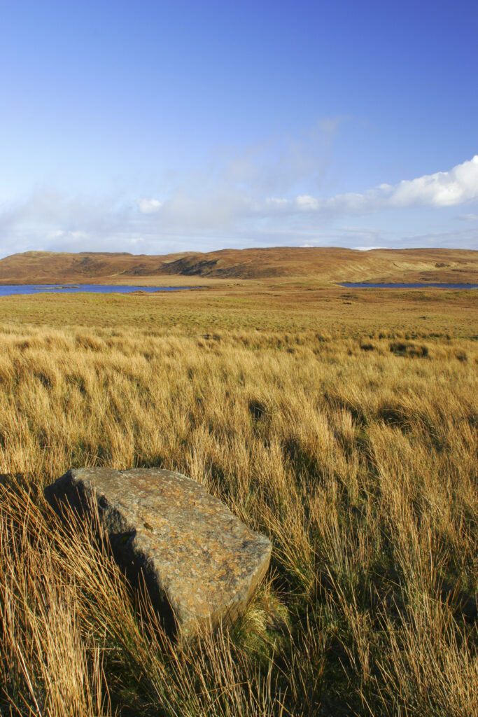 Scotland The Isle of Skye Loch Leathan Soft afternoon light illuminates tussock and rocks near Loch Leathan
