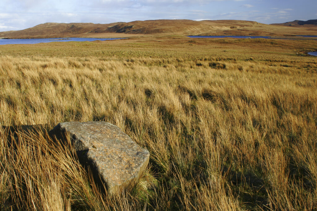 Scotland The Isle of Skye Loch Leathan Soft afternoon light illuminates tussock and rocks near Loch Leathan