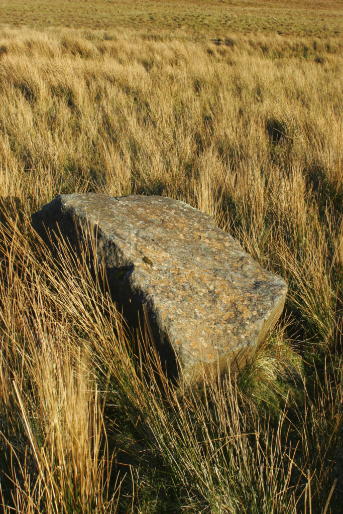 Scotland The Isle of Skye Loch Leathan Soft afternoon light illuminates tussock and rocks near Loch Leathan