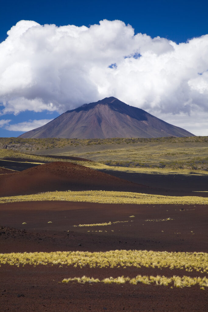 Argentina, Mendoza, Parque Provincial Payunia. The barren volcanic landscape of the reserve.