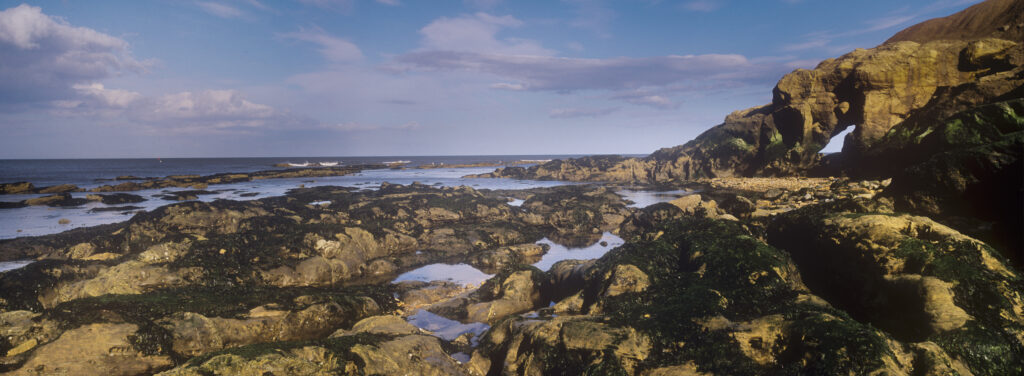 England, Tyne and Wear, Cullercoats. Rocky coastline and natural arch located on the south side of Cullercoats Bay found along the North Tyneside coast.