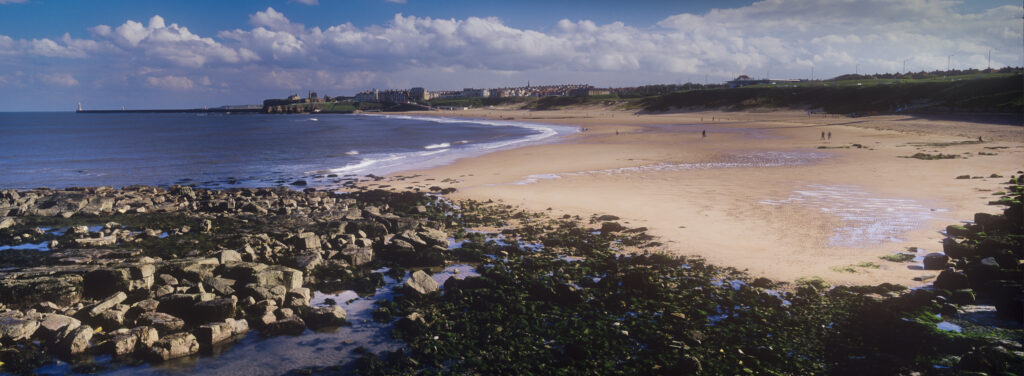 England, Tyne and Wear, Tynemouth. Looking south on a mid summers day across the Tynemouth Long Sands towards the Priory, Castle and the mouth of the Tyne. Recently there has been a great deal of conservation work undertaken to help preserve the impressive dunes and vegetation overlooking the beach.