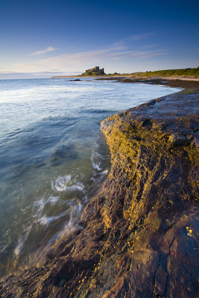 England, Northumberland, Bamburgh. Bamburgh Castle, beach and dunes viewed shortly after sunrise from Harkess Rocks.