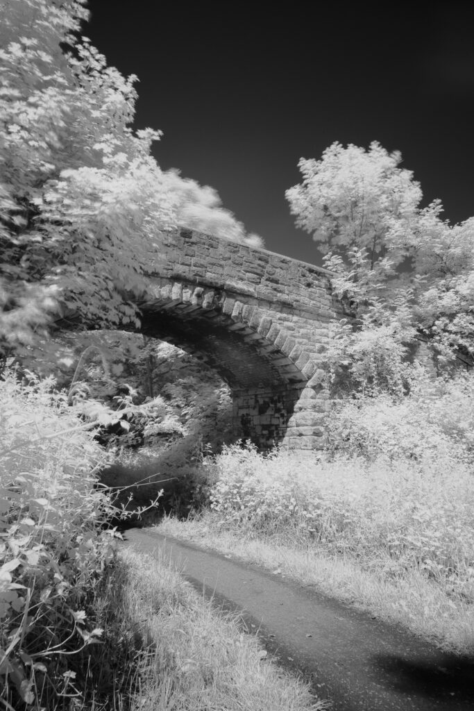 ENGLAND, Tyne & Wear, Holywell Dene. Atmospheric Black & White image of stone bridge and woodland in Holywell Dene near the Northumberland border.