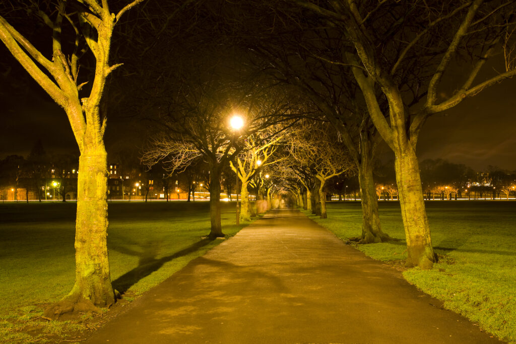 Scotland, Edinburgh, Edinburgh City. Public footpath running through an avenue of trees in the Meadows, a large expanse of open greenery found near the centre of the city.
