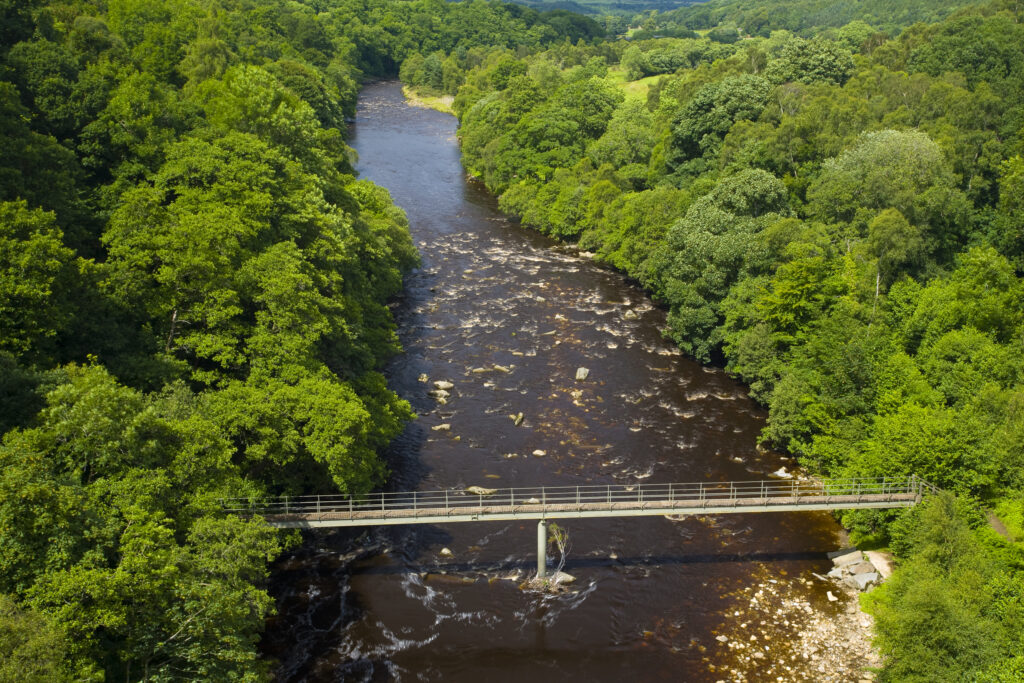 England, Northumberland, Lambley Viaduct. Lambley footbridge crossing the River South Tyne as it flows through woodland, viewed from the Lambley Railway Viaduct.