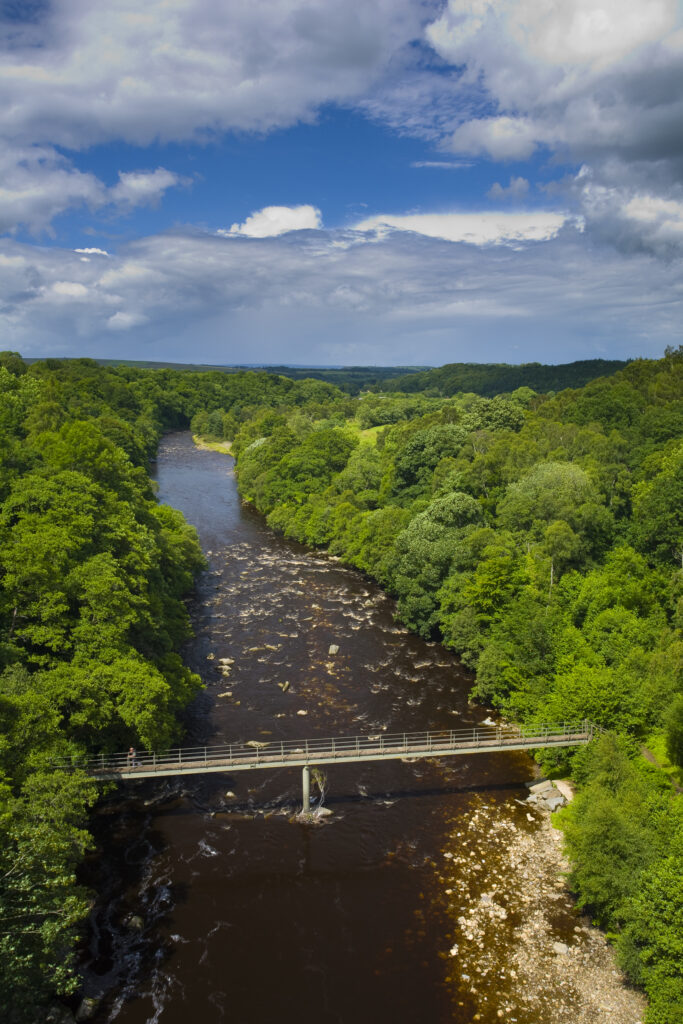 England, Northumberland, Lambley Viaduct. Lambley footbridge crossing the River South Tyne as it flows through woodland, viewed from the Lambley Railway Viaduct.