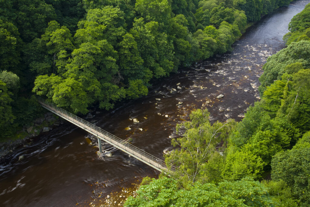 England, Northumberland, Lambley Viaduct. Lambley footbridge crossing the River South Tyne as it flows through woodland, viewed from the Lambley Railway Viaduct.