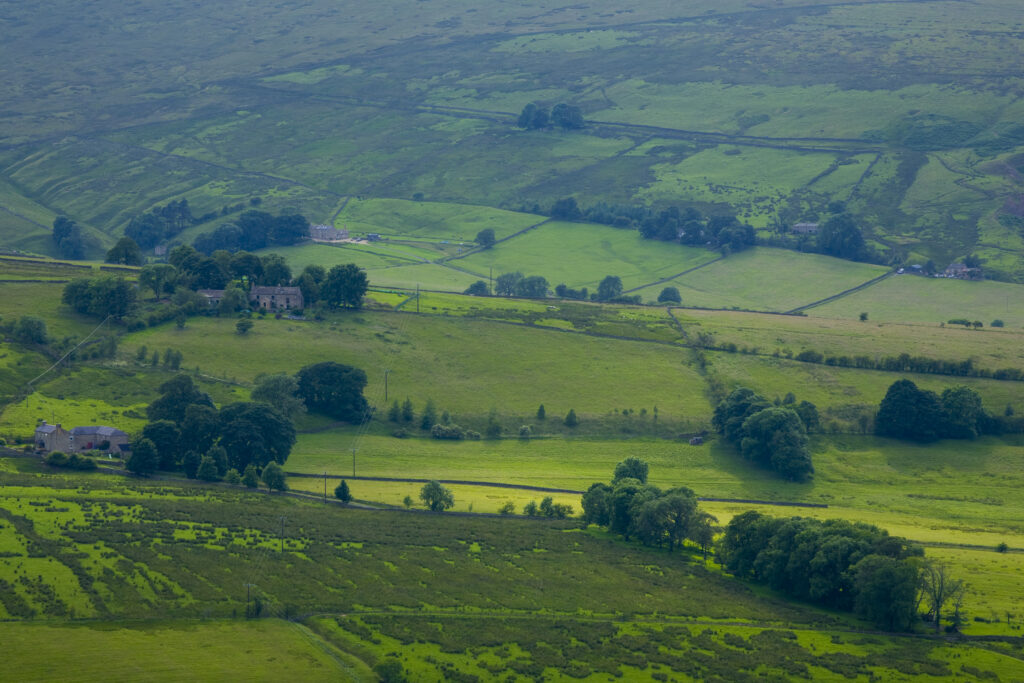 England, Northumberland, West Allen Dale, West Allen Dale, part of the North Pennines Area of Outstanding Natural Beauty (AONB)