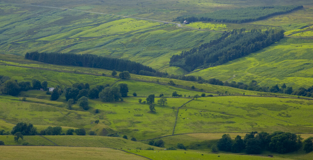 England, Northumberland, West Allen Dale, West Allen Dale, part of the North Pennines Area of Outstanding Natural Beauty (AONB)