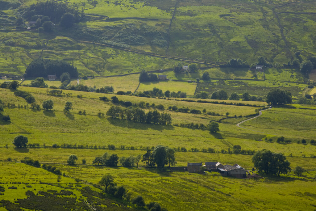 England, Northumberland, West Allen Dale, West Allen Dale, part of the North Pennines Area of Outstanding Natural Beauty (AONB)