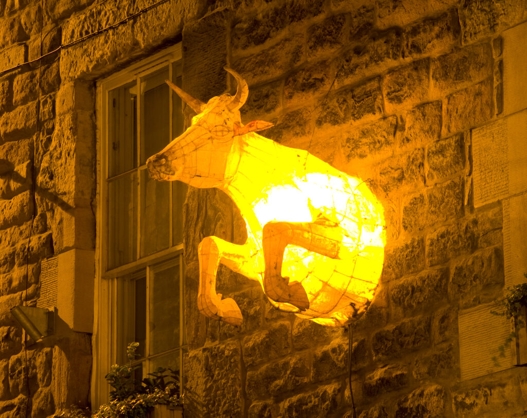 Scotland, Edinburgh, Edinburgh City. Cow lamp on a building near Cowgate.