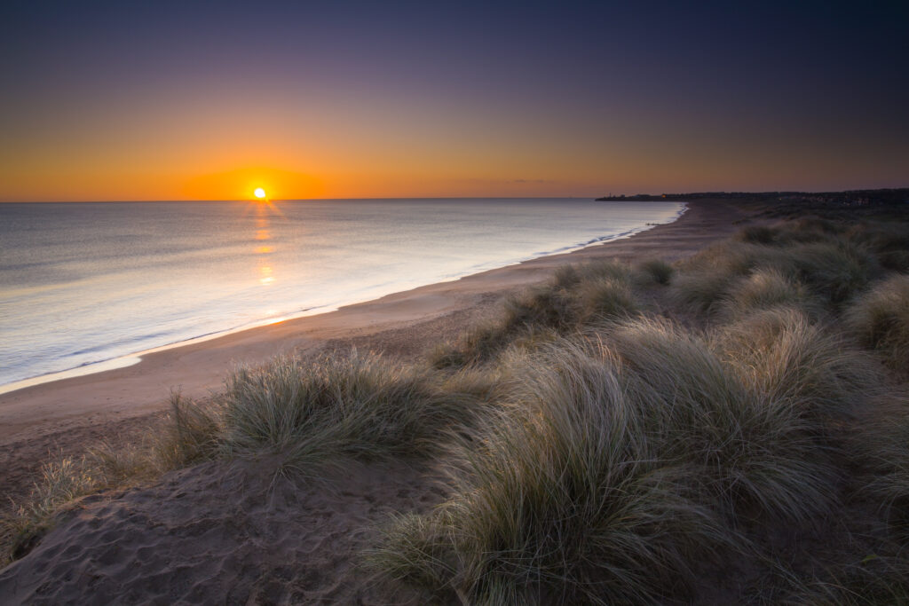 England, Northumberland, Blyth Beach. Blyth Beach and sand dunes at sunrise, looking south towards Seaton Sluice.