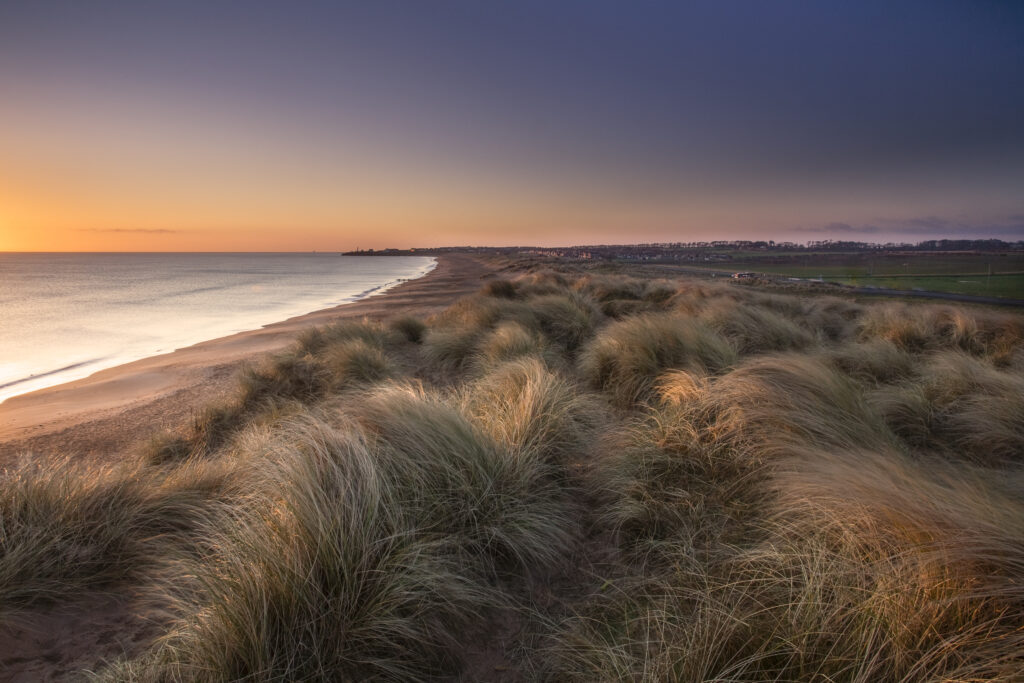England, Northumberland, Blyth Beach. Blyth Beach and sand dunes at sunrise, looking south towards Seaton Sluice.