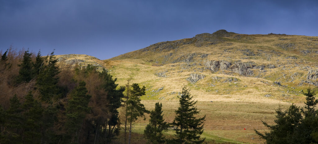 England, Northumberland, Northumberland National Park. Looking towards Dunmoor Hill from Linhope in the Breamish Valley near Ingram.