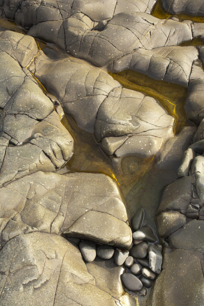 England, Northumberland, Craster. Rocks sculptured by the north sea, within the harbour walls of the Craster harbour.
