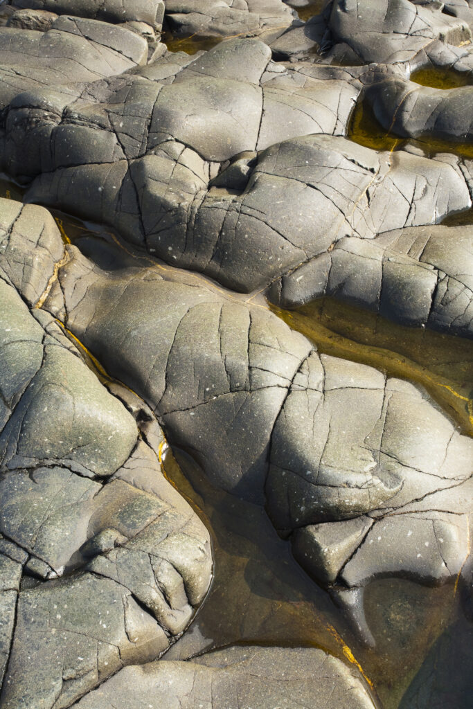 England, Northumberland, Craster. Rocks sculptured by the north sea, within the harbour walls of the Craster harbour.