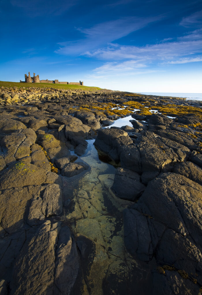 England, Northumberland, Dunstanburgh Castle. Dunstanburgh Castle and surrounding coastline at low tide, viewed from Cushat Stiel.