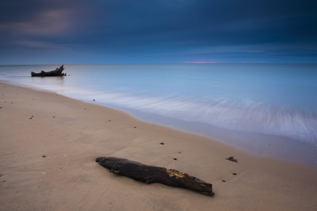 England, Northumberland, Alnmouth. Retreating tide and driftwood on the sandy beach at Alnmouth.