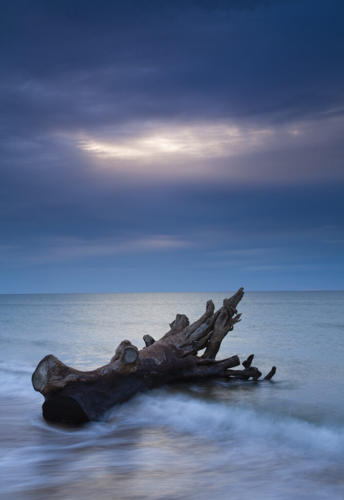 England, Northumberland, Alnmouth. Retreating tide and driftwood on the beach at Alnmouth.