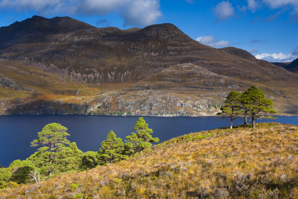 Scotland, Scottish Highlands, Beinn Eighe NNR. Slioch, a mountain alongside Loch Maree in the Beinn Eighe National Nature Reserve which was Britain's first National Nature Reserve.