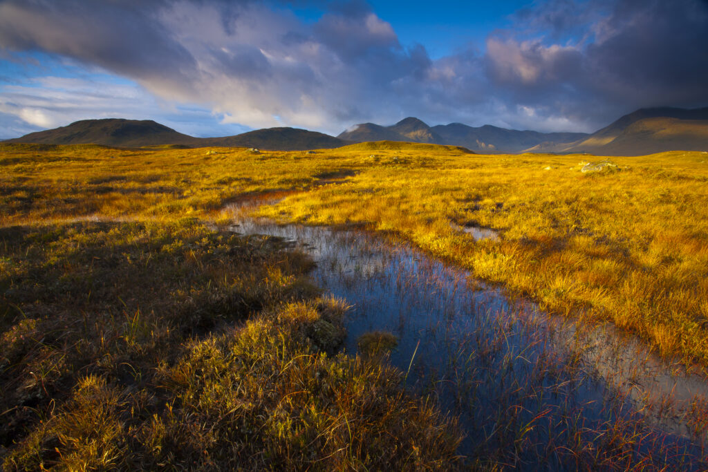 Scotland, Scottish Highlands, Rannoch Moor. Early morning sun on Rannoch Moor with the dominating peak of the Black Mount in the distance.