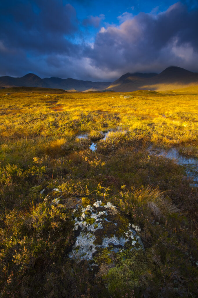 Scotland, Scottish Highlands, Rannoch Moor. Early morning sun on Rannoch Moor with the dominating peak of the Black Mount in the distance.