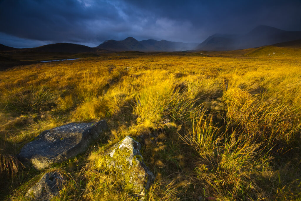 Scotland, Scottish Highlands, Rannoch Moor. Early morning sun on Rannoch Moor with the dominating peak of the Black Mount in the distance.