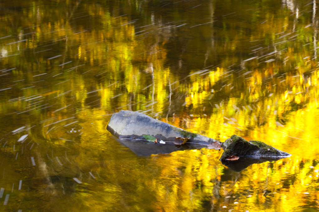 England, Northumberland, Allen Banks & Staward Gorge. Autumn colours reflected upon the surface of the River Allen within the gorge.