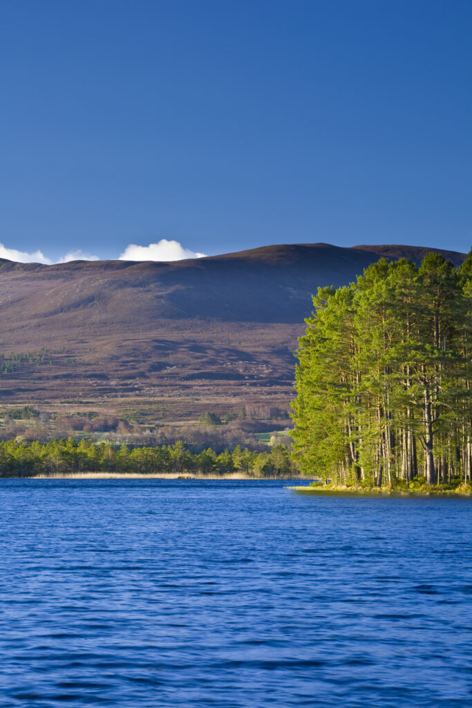 Scotland, Scottish Highlands, Cairngorms National Park. Loch Garten fringed by the Abernethy Forest.