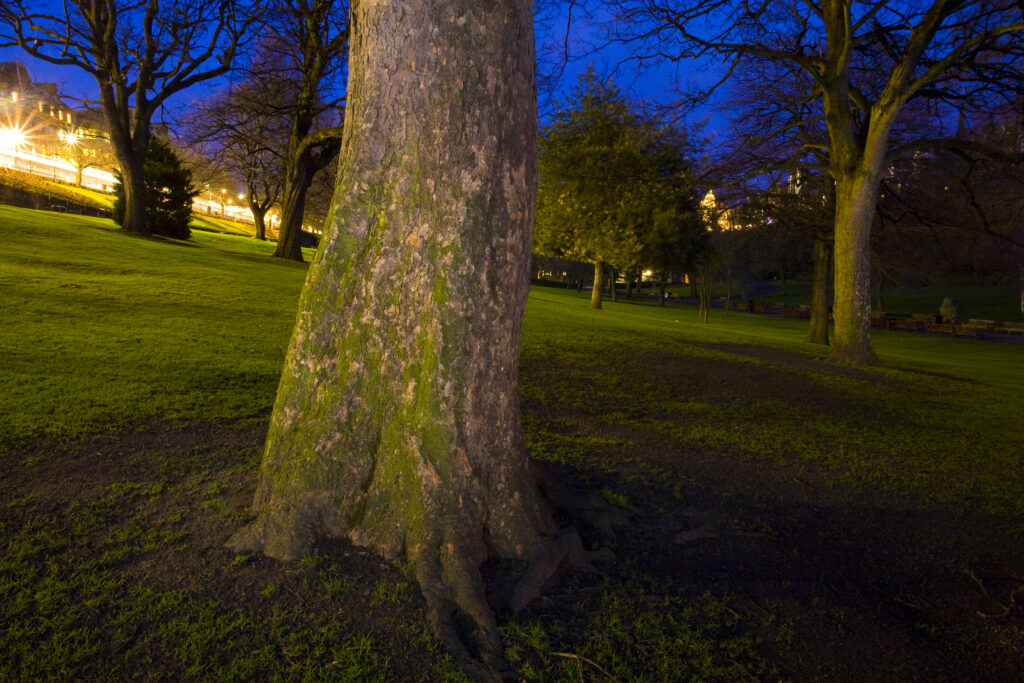 Scotland, Edinburgh, Princes Street. Princes Street Gardens were created in the 1820's when the Nor Loch was drained.