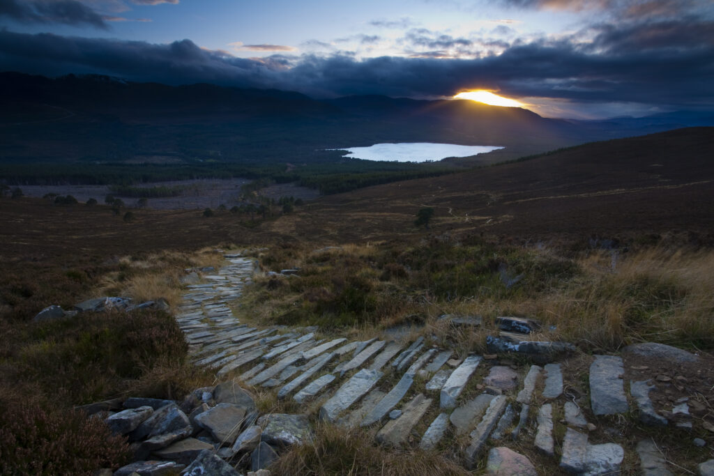 Scotland, Scottish Highlands, Cairngorms National Park. Footpath running through the Glenmore Forest Park (NNR) towards Loch Morlich and the peaks of the Cairngorms National Park.