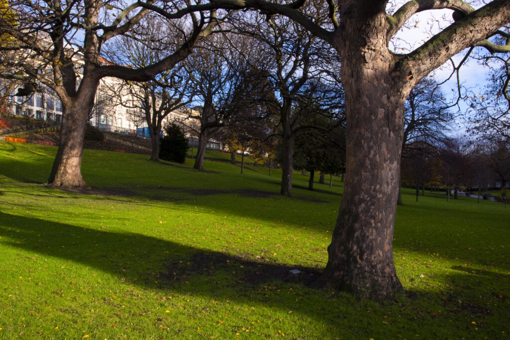 Scotland, Edinburgh, Princes Streeet Gardens. Trees and grass lawn in Princes Street Gardens, created in the 1820's when the Nor Loch was drained.