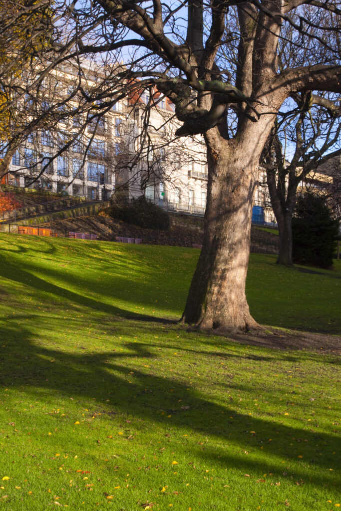 Scotland, Edinburgh, Princes Streeet Gardens. Trees and grass lawn in Princes Street Gardens, created in the 1820's when the Nor Loch was drained.