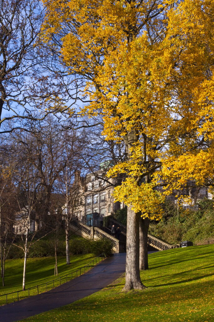 Scotland, Edinburgh, Princes Streeet Gardens. Autumn colours of trees within the Princes Street Gardens.