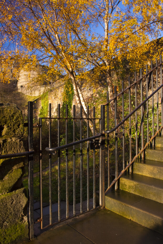 Scotland, Edinburgh, Johnston Terrace Wildlife Reserve. Johnston Terrace Wildlife Reserve, a Scottish Wildlife Trust walled wildlife garden in the centre of Edinburgh.