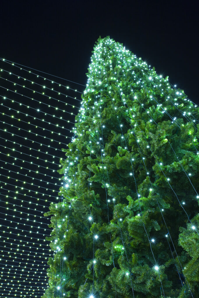 England, County Durham, Durham City. Christmas Tree in the Market Place of Durham City.