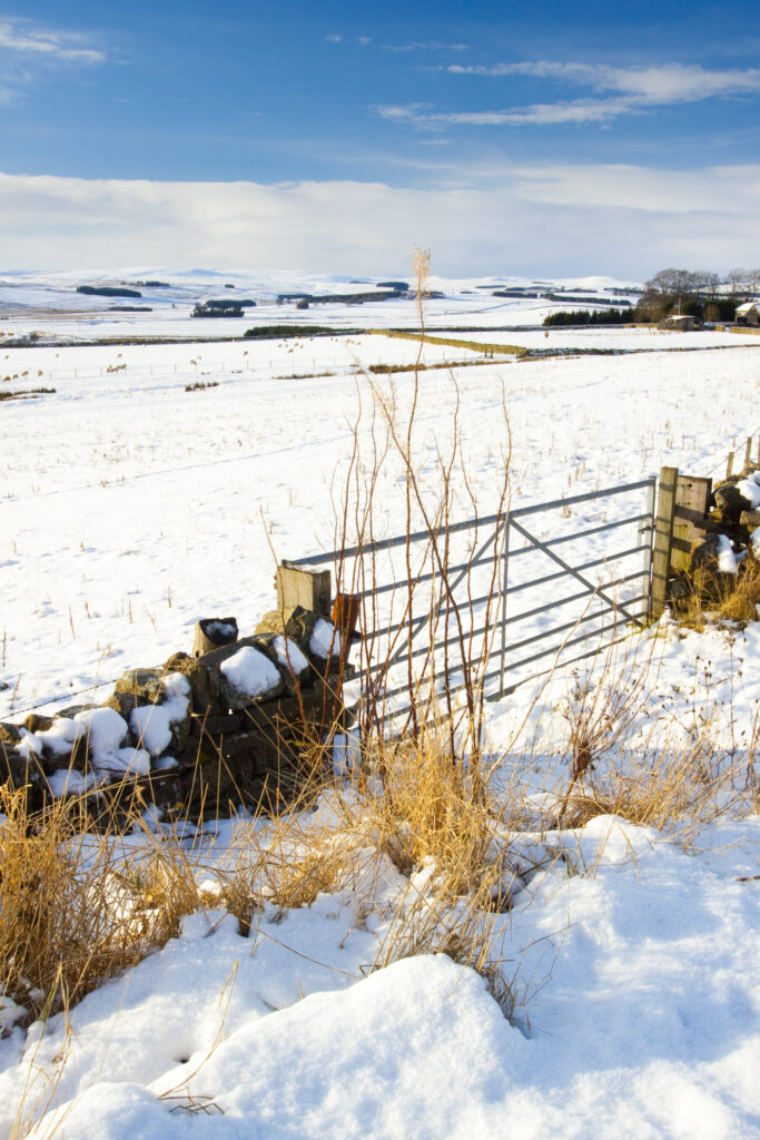 England, Northumberland, Northumberland National Park. Typical Northumberland scenery near the village of Otterburn, transformed after a winter snowfall.