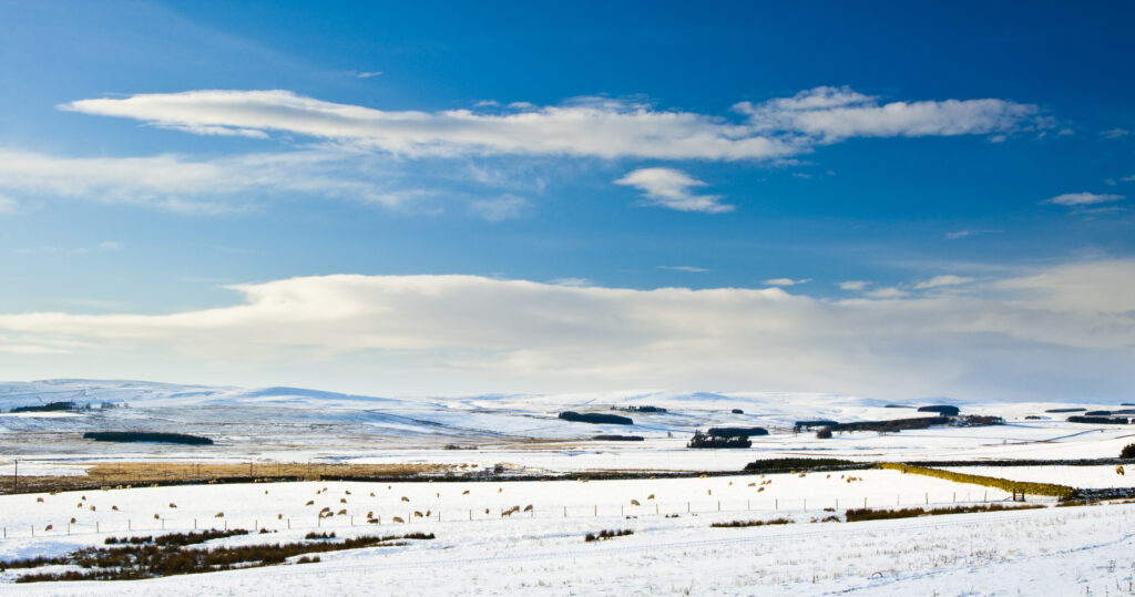 England, Northumberland, Northumberland National Park. Typical Northumberland scenery near the village of Otterburn, transformed after a winter snowfall.