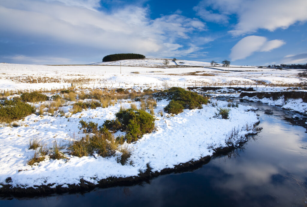 England, Northumberland, Northumberland National Park. Typical Northumberland scenery near the village of Otterburn, transformed after a winter snowfall.